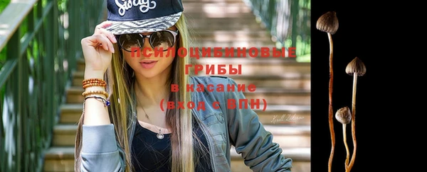 apvp Алзамай