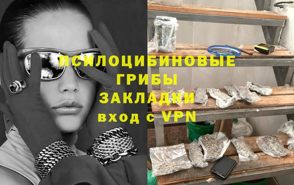 ПСИЛОЦИБИНОВЫЕ ГРИБЫ Алексин